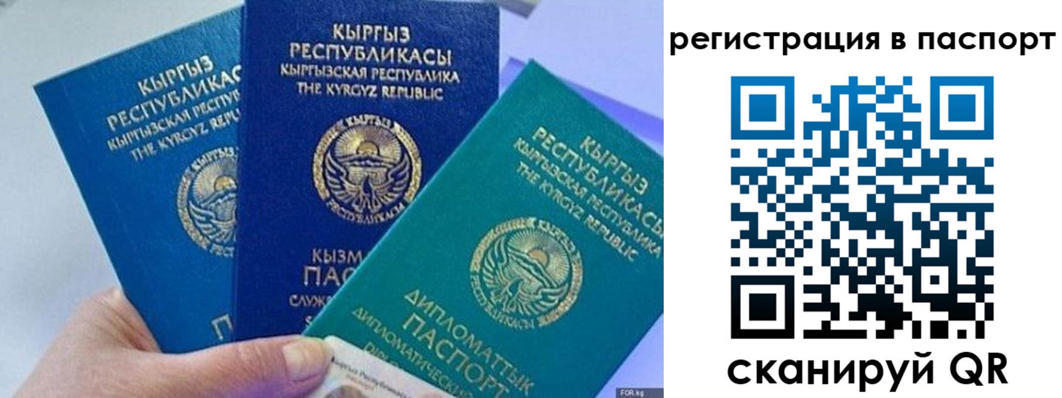 прописка 2025 в Сердобске